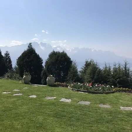 Swiss Riviera Belle Vue Montreux